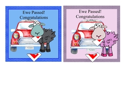 Ewe Passed Male and Female Cards