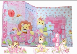 Z Fold New Baby Girl Including Template