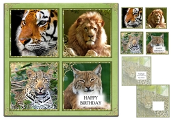 Big Cat Glorious