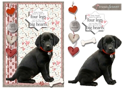 Dogs Have Big Hearts2