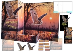 Z Fold Owls At Dusk including Template Male Birthday/Fathers Day