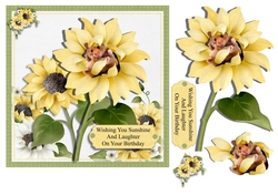 Sunflower Snooze