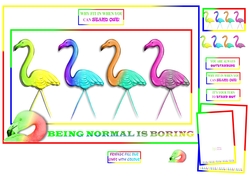Flamingo Colourful