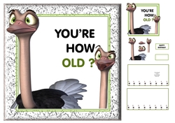 Youre How Old???