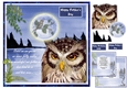 Dad Wise Owl