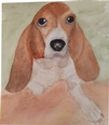 Bloodhound Pup CU4CU OK