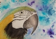 Pretty Polly Original Watercolour CU4CU OK