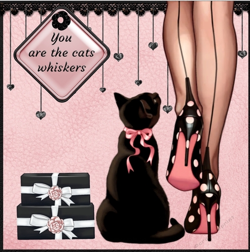 The Cats Whiskers