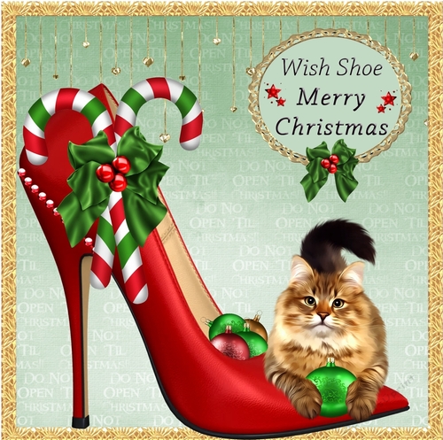 Wish Shoe Merry Christmas