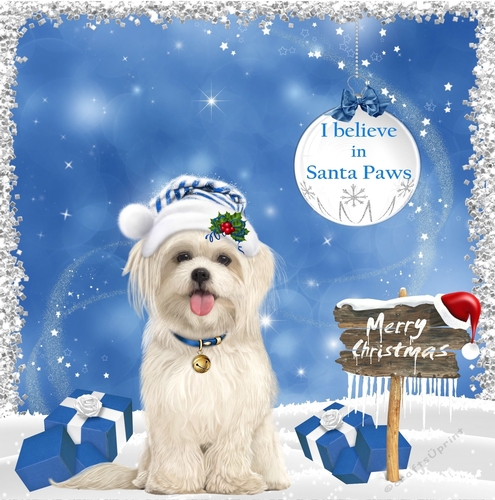 Santa Paws