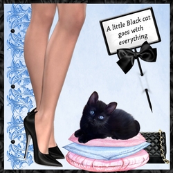 Little Black Cat