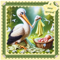 New Arrival