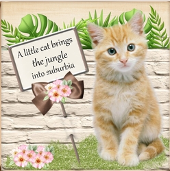 Jungle in Suburbia
