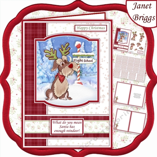 REINDEER TRAINING A5 Humorous Christmas Decoupage & Insert Mini Kit