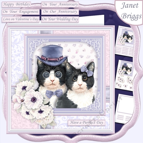 CAT LOVERS 7.5 Decoupage & Insert Card Kit