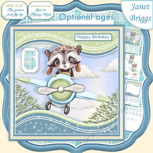 PLANE FLYING BY 7.5 Decoupage & Optional Ages Card Kit