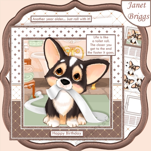 LIFE IS LIKE A TOILET ROLL 7.5 Humorous Decoupage Card Kit