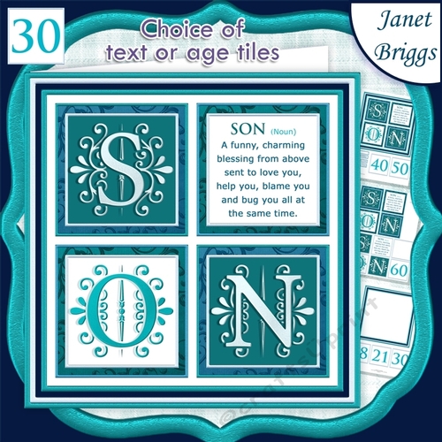 SON DEFINITION SQUARES 7.5 Humorous Birthday Quick Layer Card