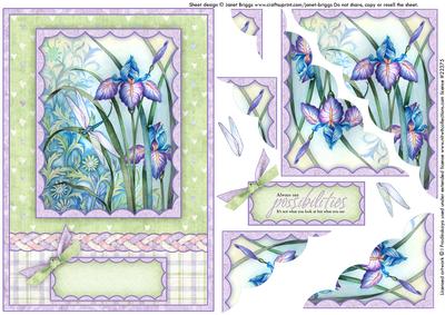 Iris and Dragonfly 2 Card and Wavy Corner Stacker