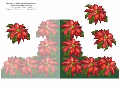 Poinsettia Shaped Card