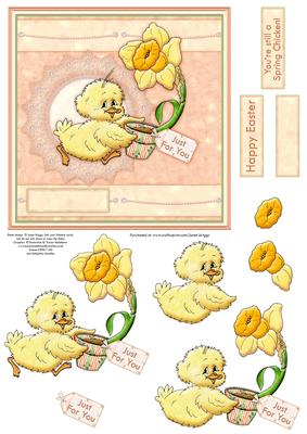 You're Still a Spring Chicken! Birthday / Easter Decoupage