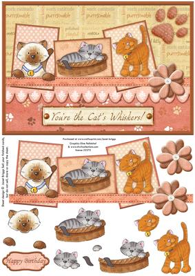 Cat's Whiskers Topper & Decoupage