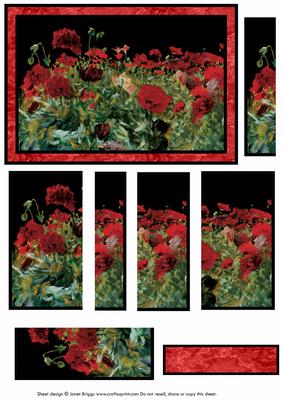 Field of Poppies Side Stacker