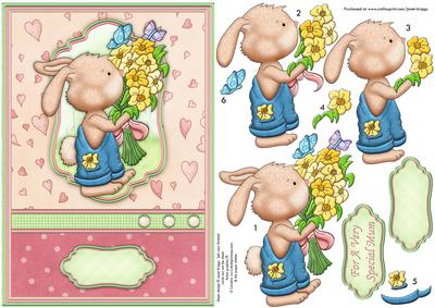 Some Bunny Loves You A5 Topper & Decoupage