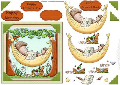 Henry's Hammock Hedgehogs Relaxing Decoupage