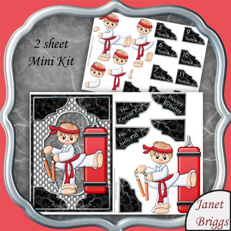Karate or Judo Kid with Ages 2 Sheet Mini Kit