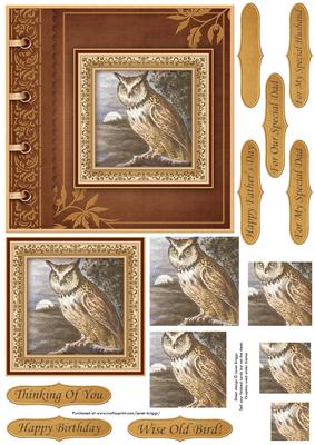 Wise Old Bird Card Topper & Pyramid Layers