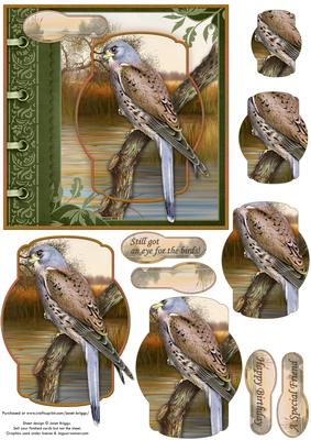 An Eye for the Birds! Kestrel Card Topper & Pyramage