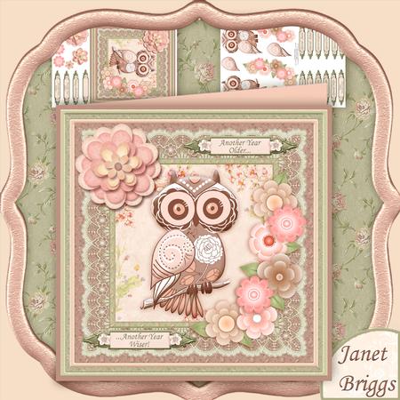 Peach Shabby Owl 8x8 Mini Kit & Decoupage