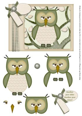 Wise Owl Another Year Older -  Topper & Decoupage