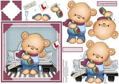 Ted Passed Driving Test Card Topper & Decoupage