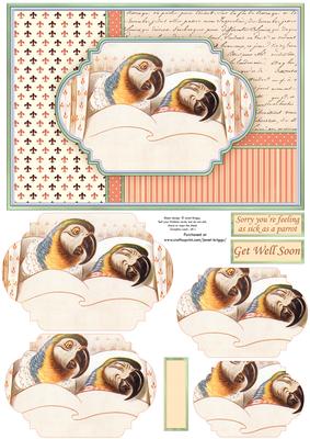 Feeling Sick as a Parrot Get Well Soon Quick Card & Pyramage
