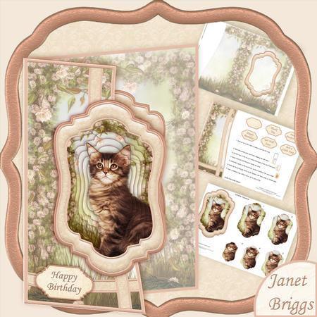 Tabby Cat Curved Over Side Mini Kit & Pyramage
