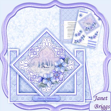 Christmas Winter Florals Diamond Front Mini Kit & Decoupage