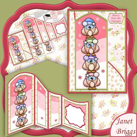 Christmas Hoot A5 with Concertina Insert Mini Kit