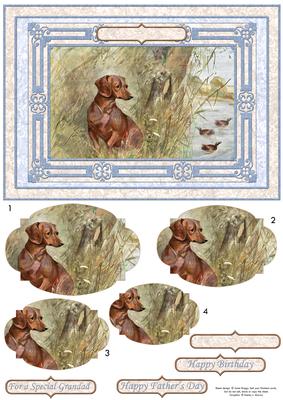 Dachshund Watching the Ducks Quick Card & Pyramage