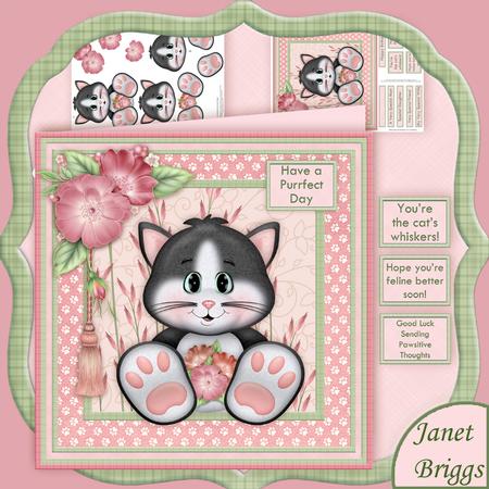 Cats Whiskers Card Mini Kit & Decoupage