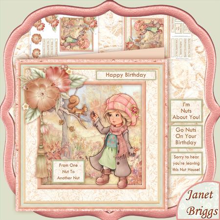 Nutty Friend Birthday, Valentine's, 8x8 Mini Kit & Decoupage
