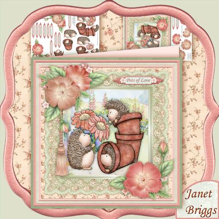Pots of Hedgehog Love 8x8 Mini Kit & Decoupage