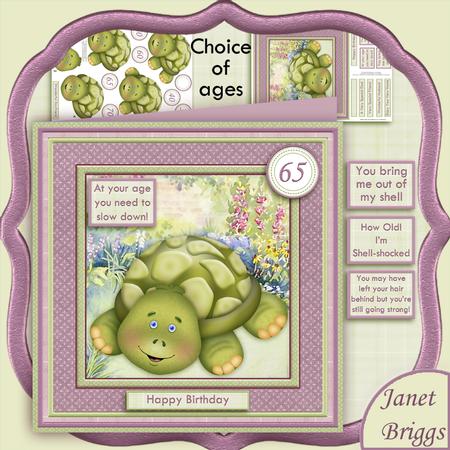At Your Age You Need to Slow Down 8x8 Mini Kit with Ages