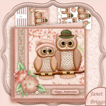 Mr & Mrs Owl 8x8 Mini Kit & Decoupage