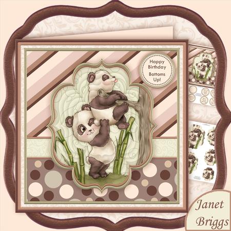 Bottoms Up 8x8 Humorous All Occasions Mini Kit