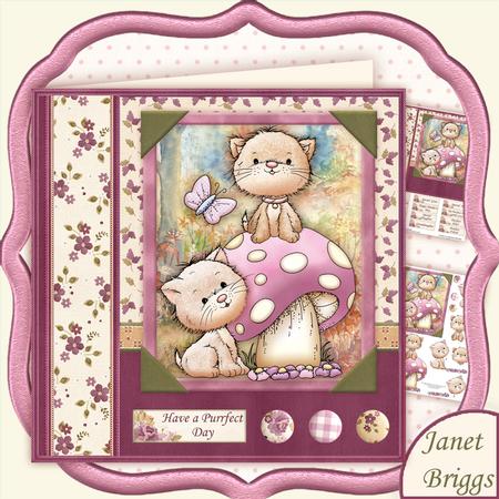 King of the Castle 8x8 Mini Kit
