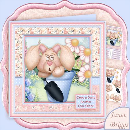 Oops a Daisy Another Year Older 8x8 Mini Kit & Decoupage