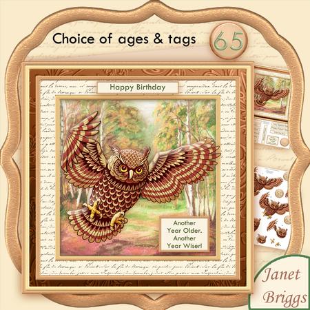 Wise Old Bird 8x8 Mini Kit with Ages & Decoupage