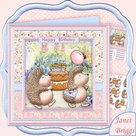 Party Cake Hedgehogs 8x8 Birthday Mini Kit & Decoupage